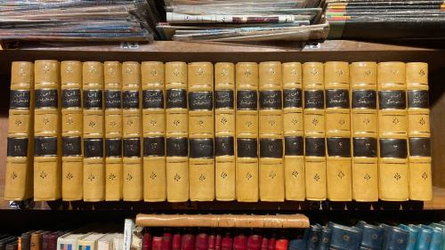 الأعمال الأدبية الكاملة لديستوفيسكي/دوستويفسكي/دوس...