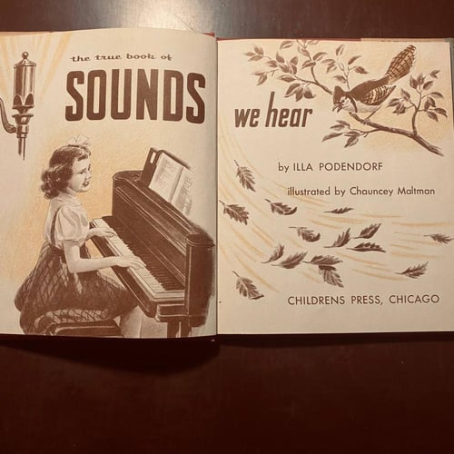 Sounds we hear (P15)