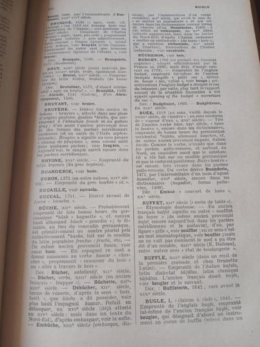 dictionnaire etymologique(P1)