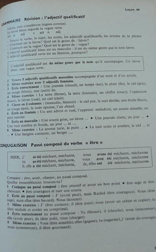 lami fidele livre du maitre (E12)