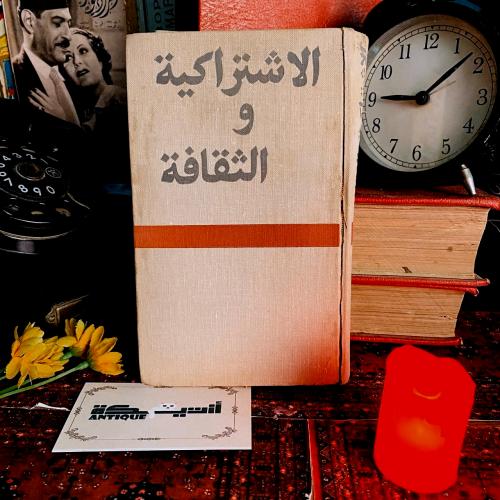 الاشتراكية و الثقافة مجموعة مقالات معهد تاريخ الفن...