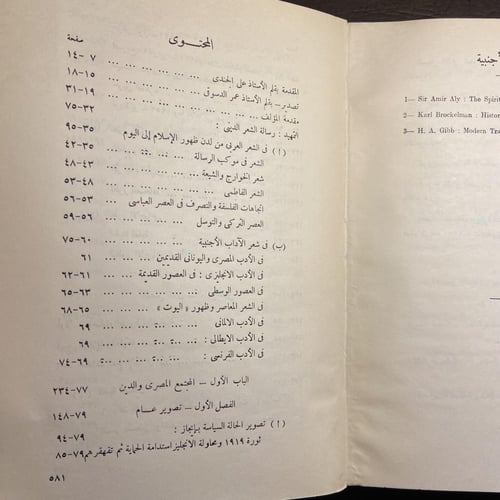 العامل الديني في الشعر المصري الحديث_سعد الدين محم...