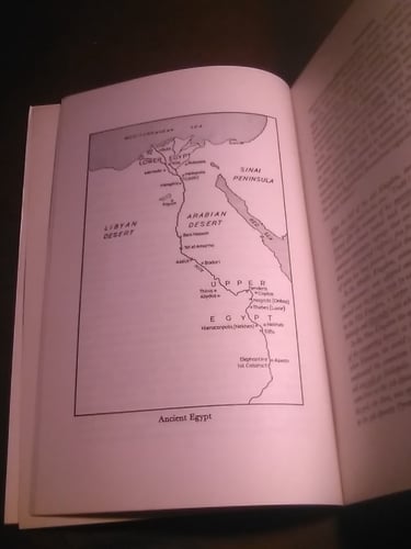 the ancient egyptians - jill kamil(E8)