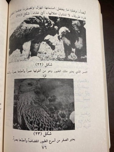 الصحاري و السهول و السهوب_ابراهيم حلمي غوري