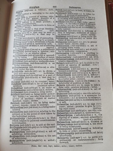 (P2)philips large type dictionary
