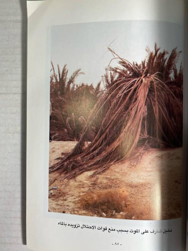 الاعتداء على البيئة في الكويت -ادارة المعلومات وال...