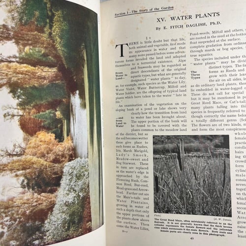 New book of gardenning- VOL .1-2-3 (M1)