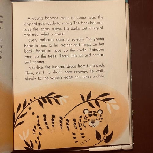 African animals (P15)