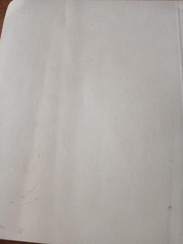 algerian wounded in yugoslavia(PM)