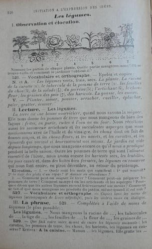 lecons de francais (E11)