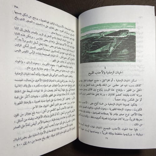 اليحيتان_روي تشابمان_Z2