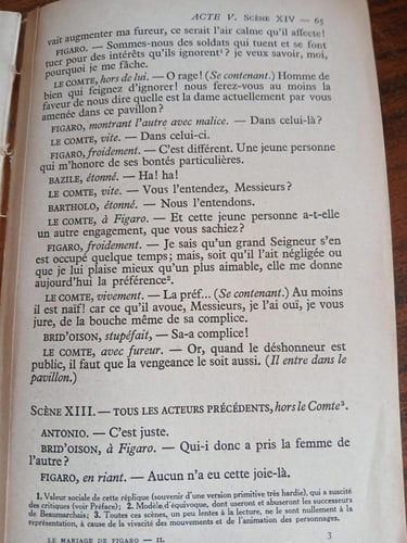 (P0)le mariage de figaro