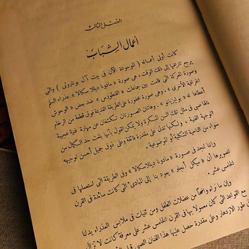 حياة ميكل أنجلو - بينو سانمنياتللى
