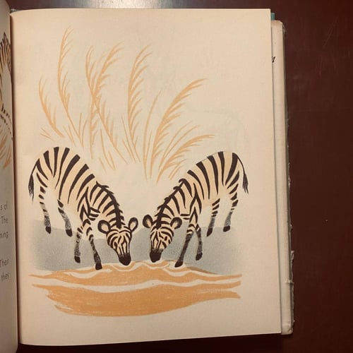 African animals (P15)