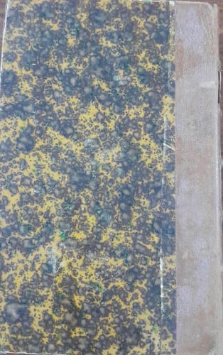 michel de montaigne (E5)