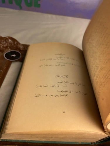 مجموعة أعلام الشعر - عباس العقاد - L10