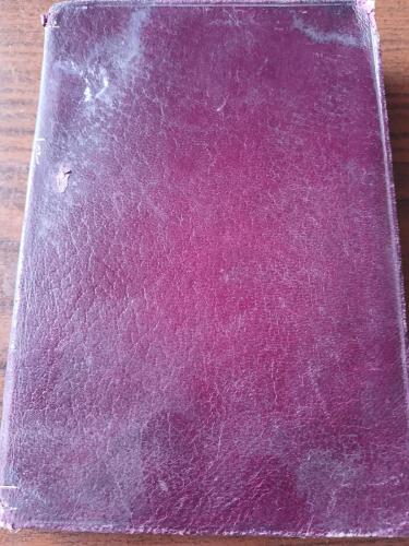 chicot the jester(P6)