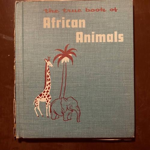 African animals (P15)