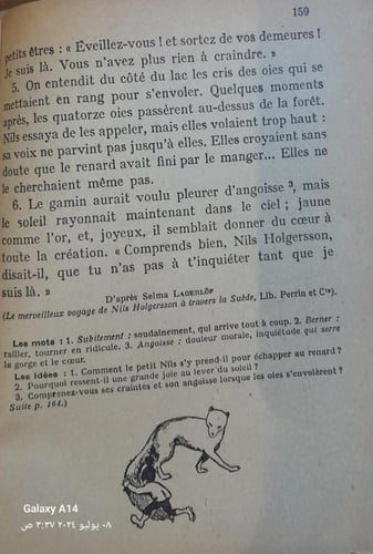 la lecture courante et le francais (P4)