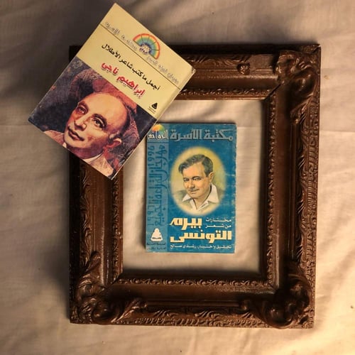 صفوة الشعر العربي