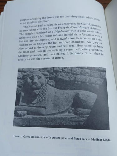 a guide to the antiquities of the fayyum (E2)