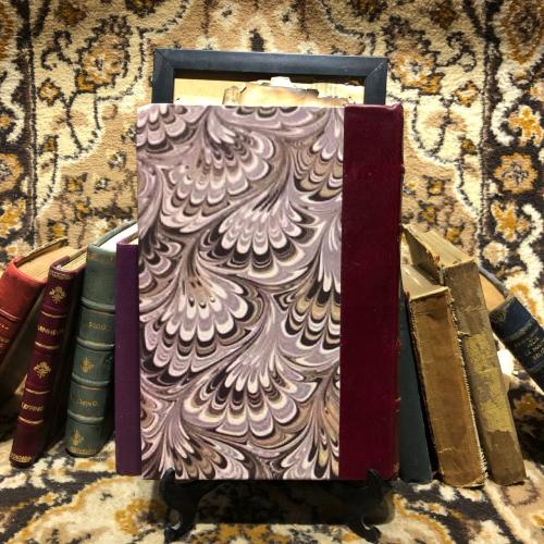 حاشية العلامة الفاضل الشيخ محمد الشنواني على مختصر...