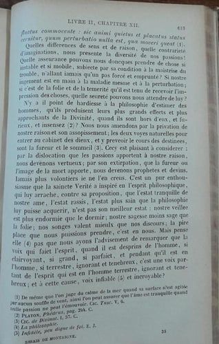 michel de montaigne (E5)