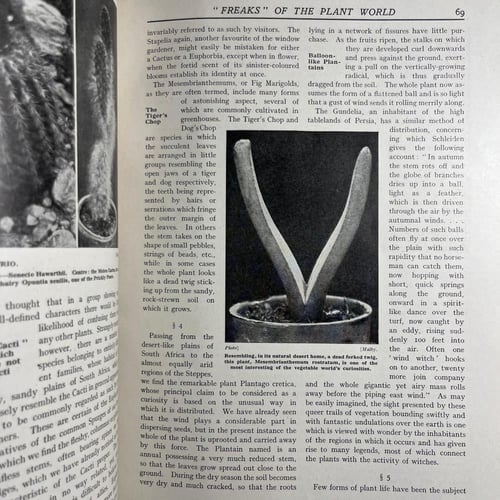 New book of gardenning- VOL .1-2-3 (M1)