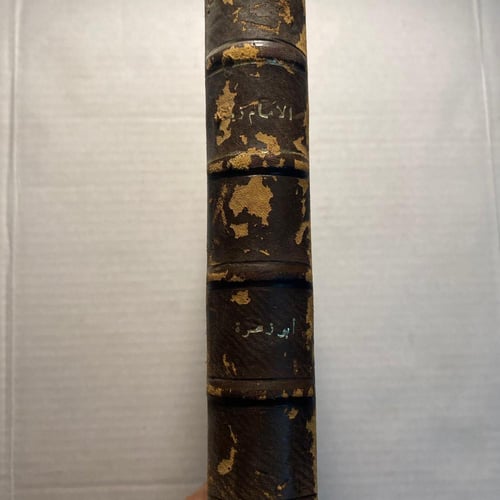 الامام زيد - محمد ابو زهرة (F1)