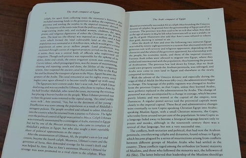 a short history of modern egypt(P9)