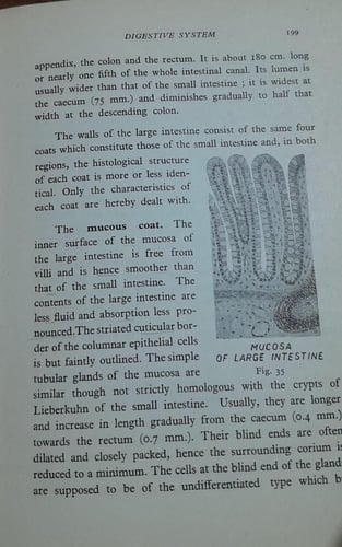 a manual of histology for medical students (P2)