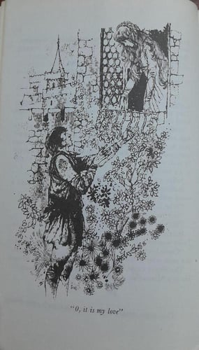 five great plays of Shakespeare (P9)