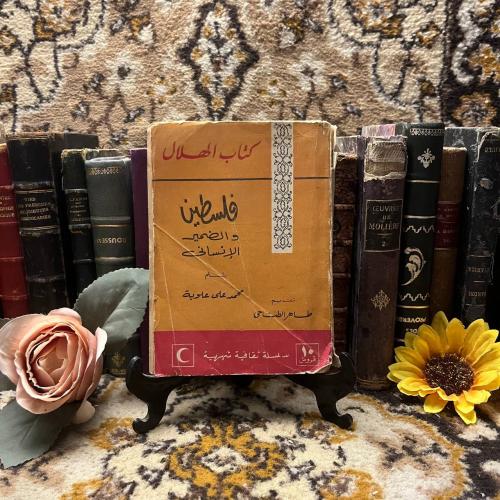 فلسطين والضمير الإنساني