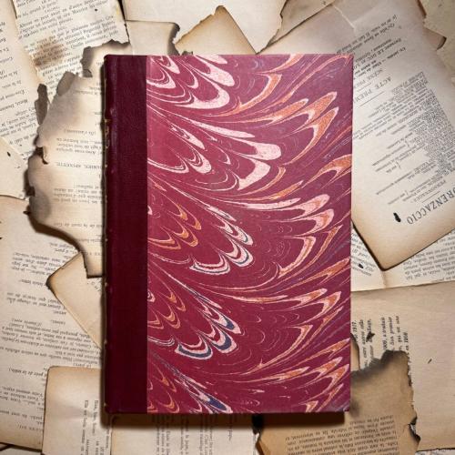 La Meningite Cerebro-Spinale en Egypte - S. A. Nom...