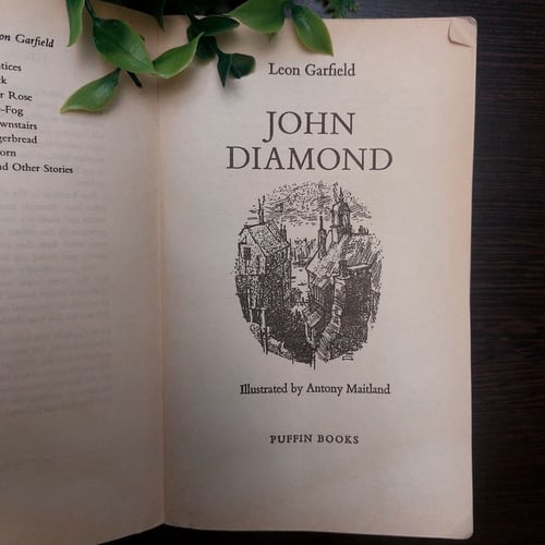 (E1)John diamond - leon garfield