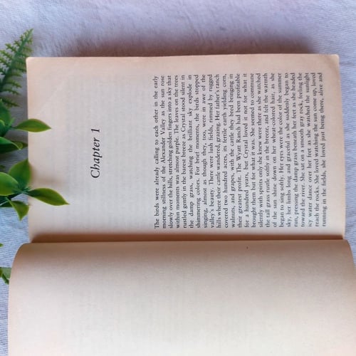 Star-Danielle steel(E2)