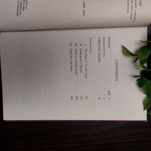 Twelfth night - Shakespeare(E3)