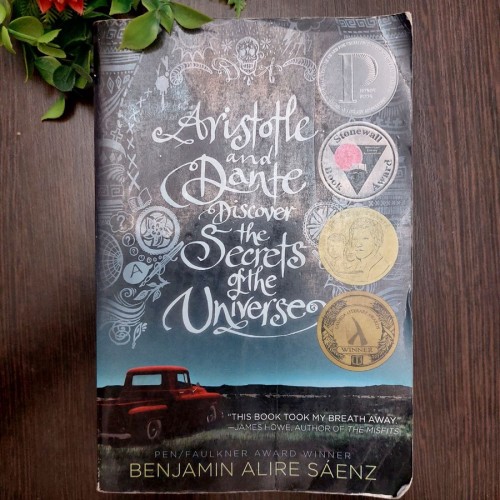 Aristotle and dante discover the secrets of the un...