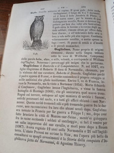 dizionario di cognizioni utili(E13)