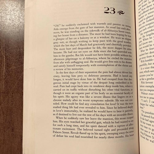 Palace of desire - Naguib Mahfouz (P17)