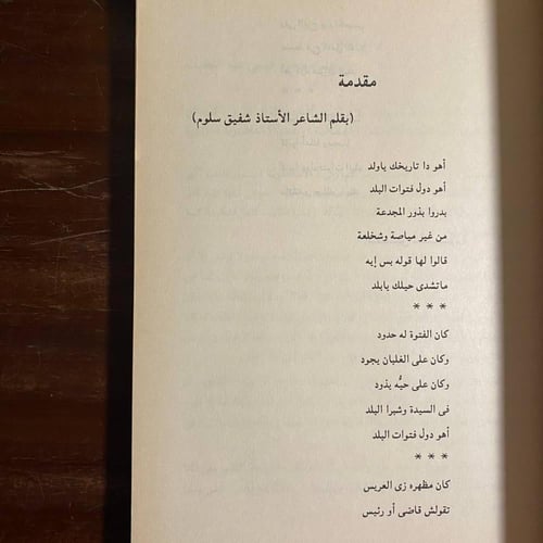 تاريخ فتوات مصر-سيد صديق-o1