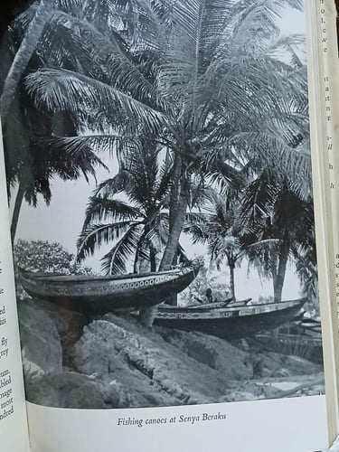 the african giant the story of a journey (E3)