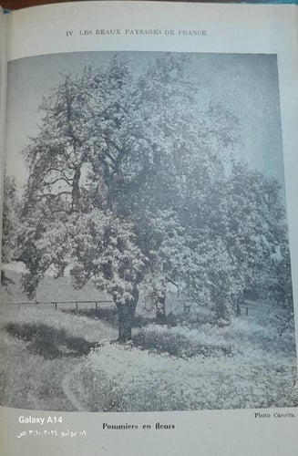 La grammaire nouvelle et le francais (P5)