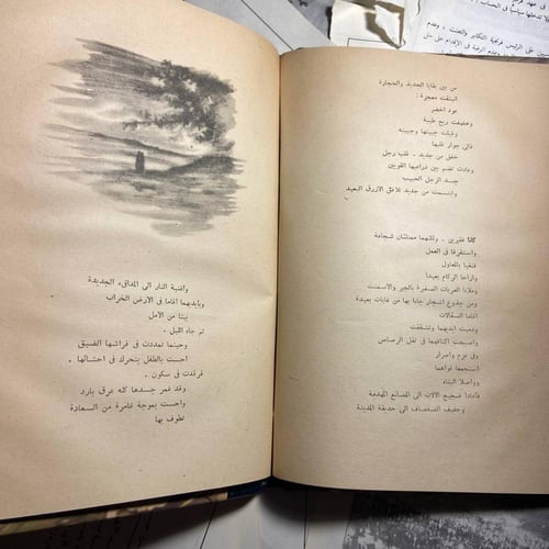 من أم رومانية إلى أمريكا - ماريا بانوش