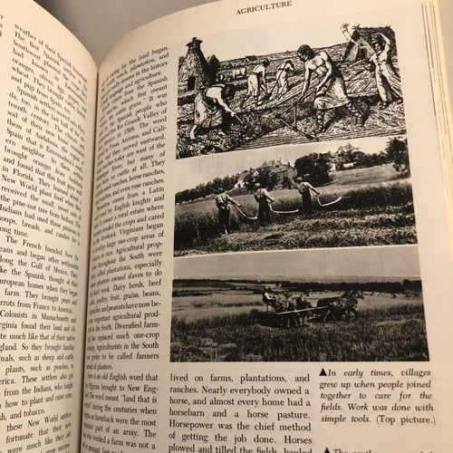 موسوعة اجنبيه