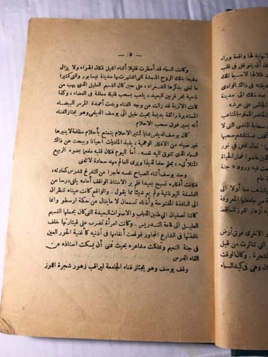 جنة الفردوس او ليلي_ارثر ويجل (F1)