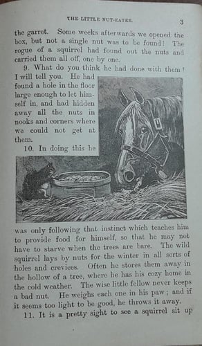 the royal star readers (E4)