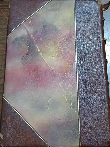 romain rolland vivant (E3)