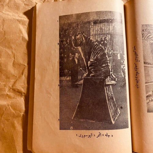 اصدقائي الوحوش_بوريس ادر (O19)