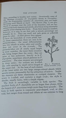 manual of tropical and subtropical fruits ( E16)